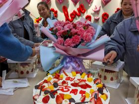 乐鱼网页版举办三八妇女节活动