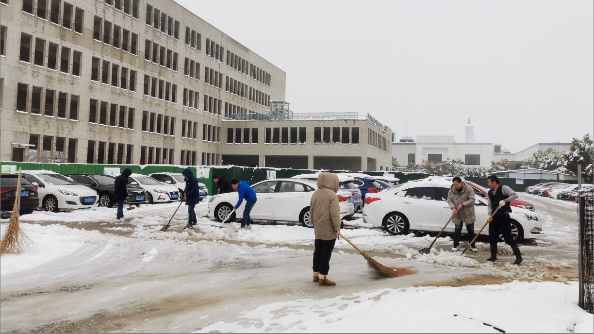 雪绽琼花日 扫雪暖心时丨乐鱼网页版开展扫雪除冰活动